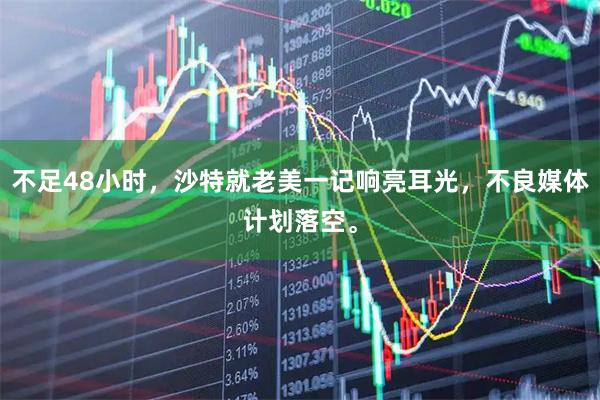 不足48小时，沙特就老美一记响亮耳光，不良媒体计划落空。