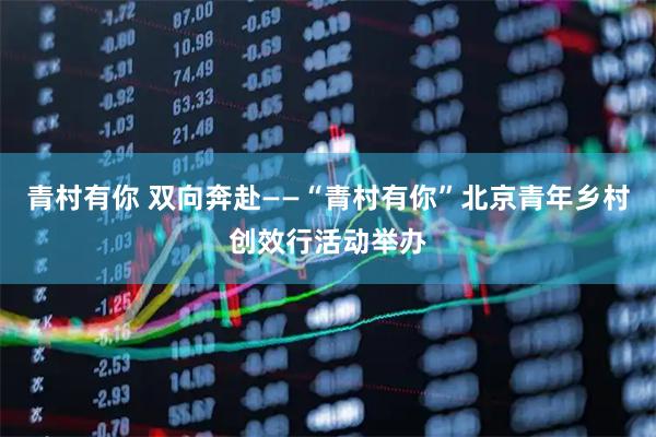 青村有你 双向奔赴——“青村有你”北京青年乡村创效行活动举办