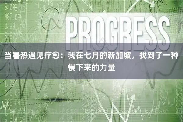 当暑热遇见疗愈：我在七月的新加坡，找到了一种慢下来的力量
